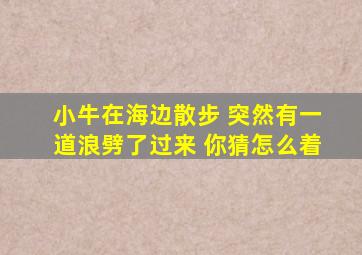 小牛在海边散步 突然有一道浪劈了过来 你猜怎么着